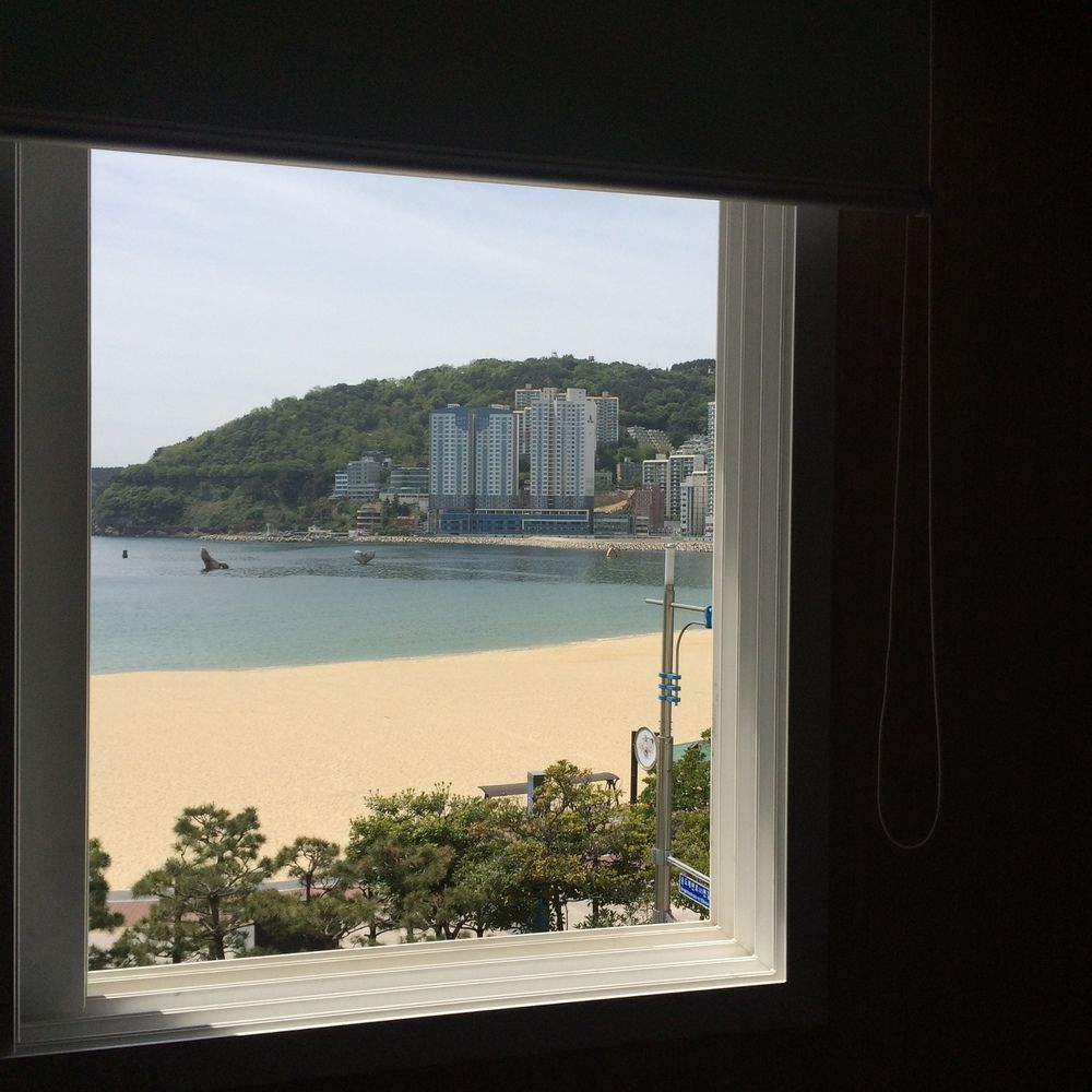 Busan Yellow Hostel Songdo Beach Пусан, Южная Корея — бронируйте Гостевые  дома, цены в 2024 году